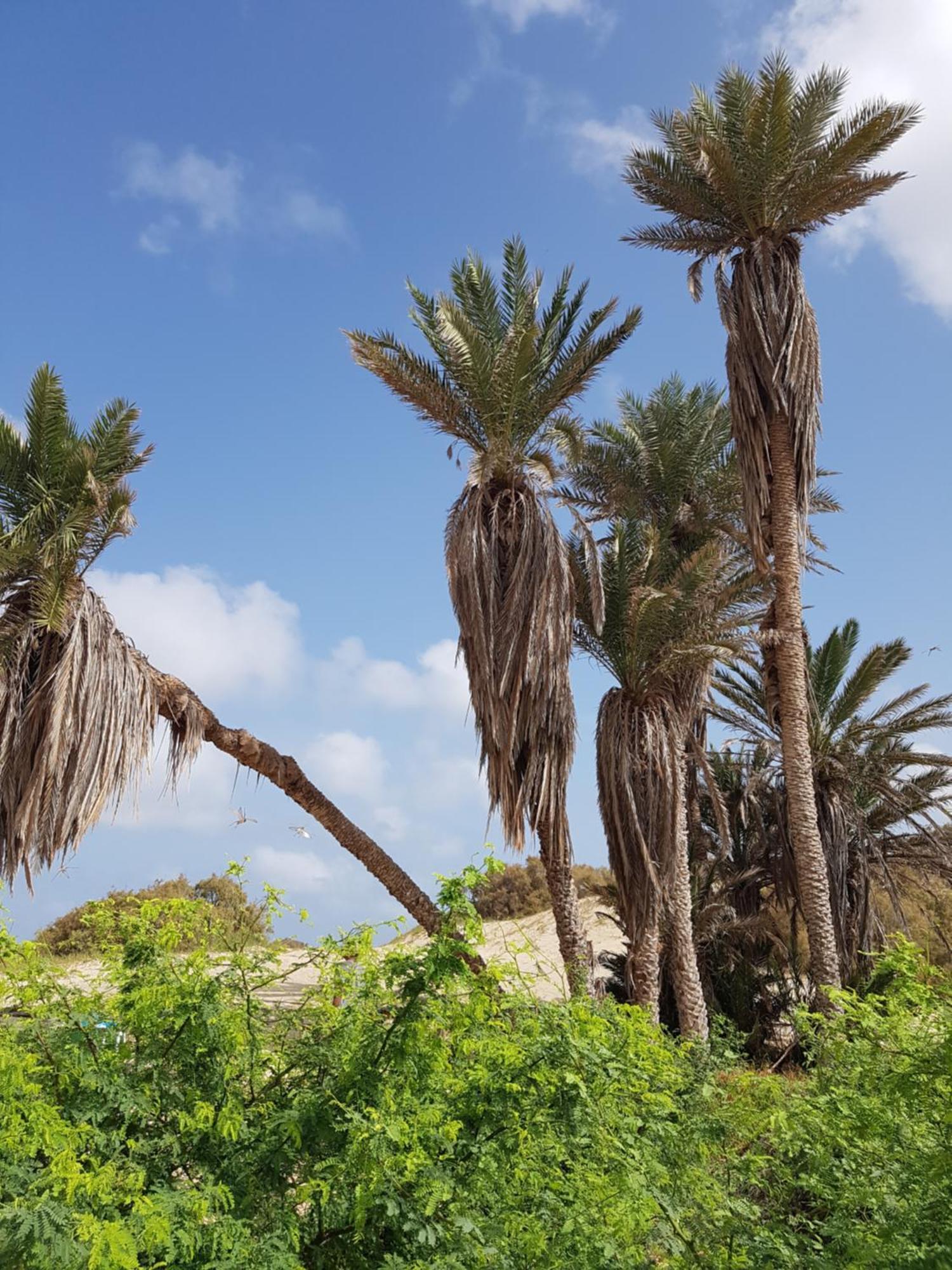 مبيت وإفطار Cidade do Maio Torre Sabina المظهر الخارجي الصورة